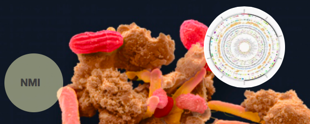  重磅！奥巴马政府牵头启动新的国家微生物组计划