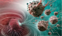 MC-1(T)趋磁球菌“生物导弹”，可精准锁定攻击癌细胞