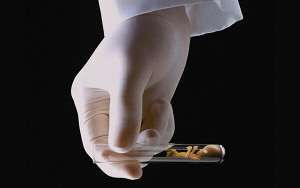 A轮融资后，趣孕APP联合多家三甲医院生殖医学中心，推出“免费做试管婴儿”服务