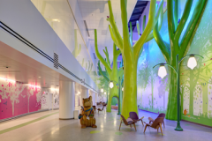 我读书少，你别骗我，这里根本就是游乐园！