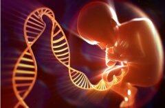 [科幻医学]未来下一代都是毒品绝缘体？