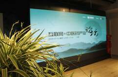 泰康在线龚巧：商业健康险+互联网中医药，最大挑战在于标准化