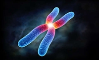 贝瑞和康联手美国BioNano开发新一代染色体结构分析变异产品