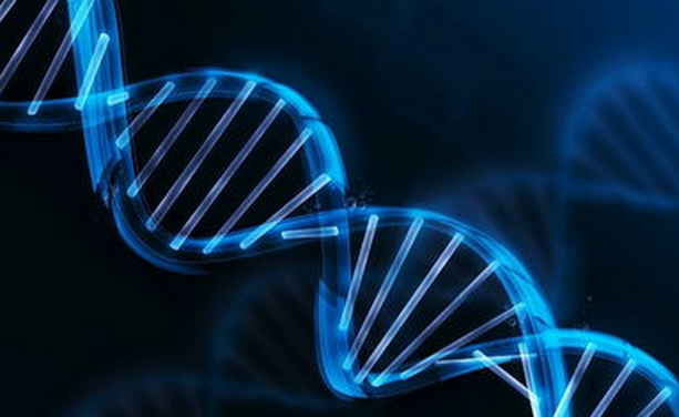 泛生子宣布引入HiSeq X Ten测序平台 专注国际癌症精准医疗