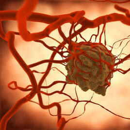 5ab5c9ea15ce36d3c5f8f2863ff33a87