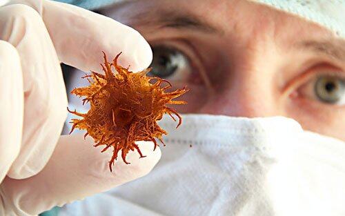 08140535917.jpg 08140535917.jpg