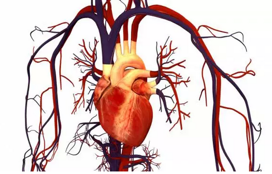 DalCor获1.5亿美元，推动III期心血管疾病精准治疗