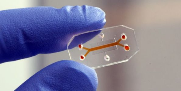 Emulate公司基于芯片的人体系统仿真技术获投2875万美元