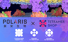 快得飞起的T细胞免疫分析，还是高通量的？！Polaris × Tetramer Shop参上