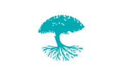 SamanTree Medical完成950万瑞士法郎A轮融资，开发成像设备帮助医生精确切除肿瘤组织