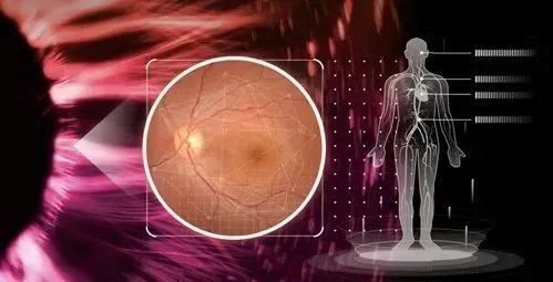 AI与医疗健康如何碰撞出火花？NVIDIA带你盘点全球最新应用