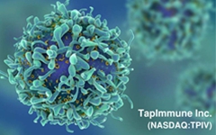 专注T细胞免疫疗法治疗肿瘤，TapImmune收购Marker Therapeutics并完成7000万美元新一轮融资