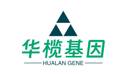 【首发】聚焦药食同源黄金赛道，华榄基因完成8亿元天使轮融资