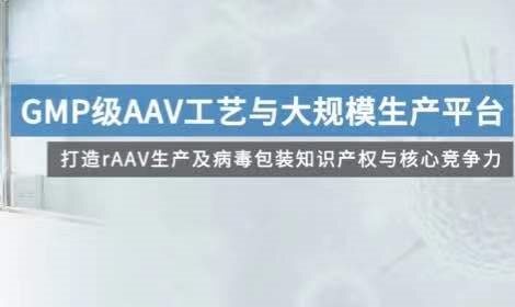 派真生物完成数亿元pre-C轮融资，加快rAAV规模化产能扩张