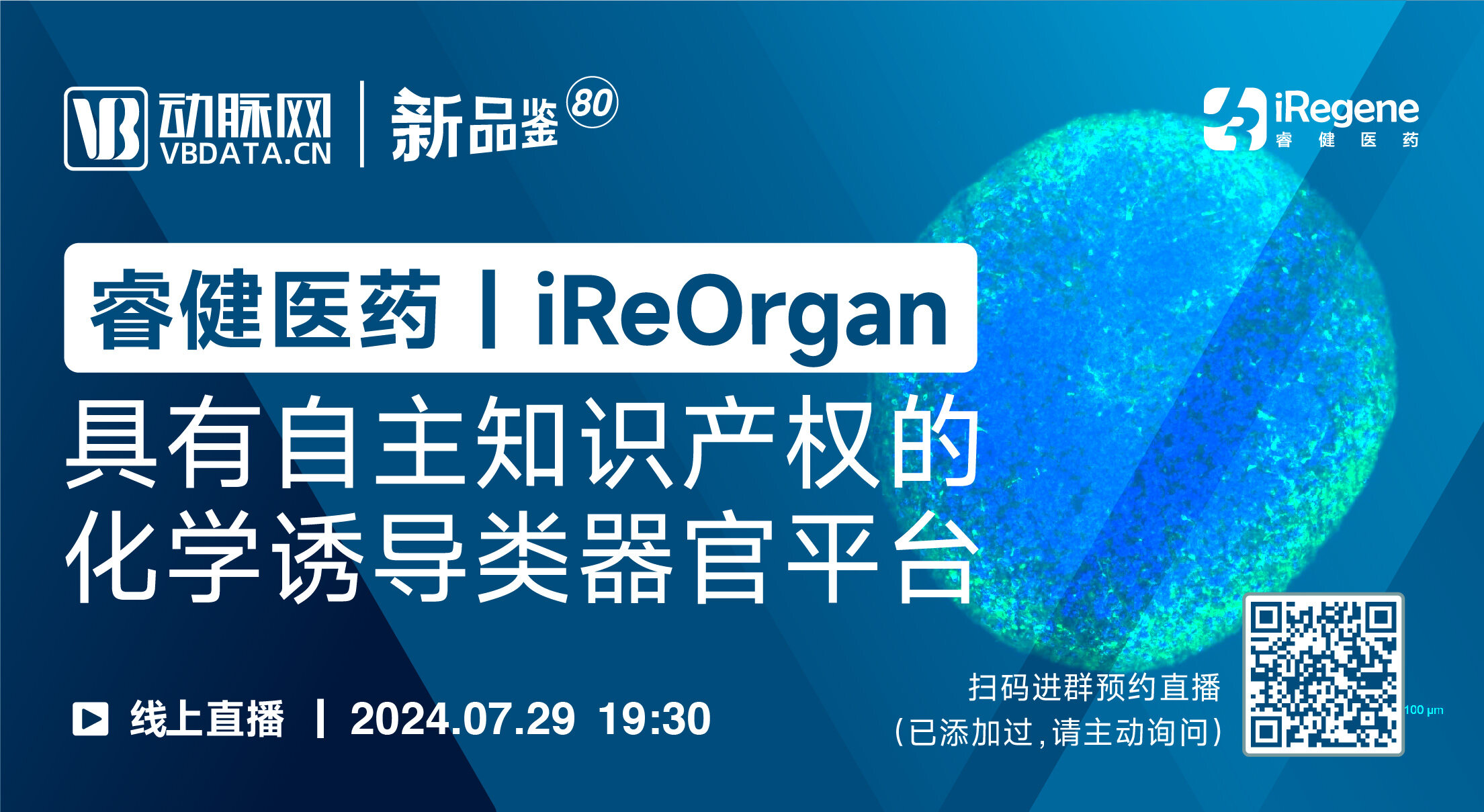 今晚直播 | 睿健医药：iReOrgan-具有自主知识产权的化学诱导类器官平台【动脉新品鉴第80期】
