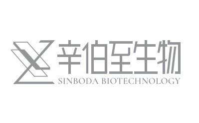 辛伯至以生命科学技术平台创新重塑微观操作与检测，引领AI大健康新范式
