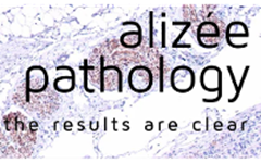 组织病理学提供商StageBio宣布收购AlizéePathology，以改善高质量组织病理学和医疗设备服务