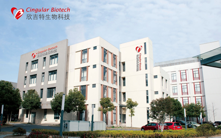 出海一大步！自主创新人工心脏瓣膜递交CE MDR认证