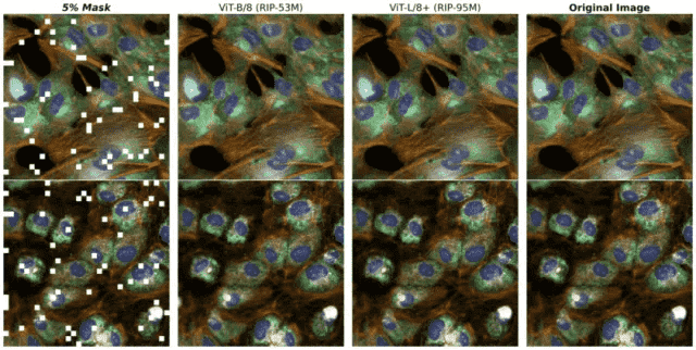 ISC24 | NVIDIA和Recursion利用AI超级计算机加快新药研发