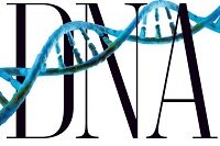 一分钟看完美国13家基因上市公司2016年度财报