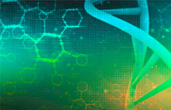 一年四融资，深度智耀何以AI“制药”？