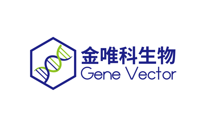 【首发】金唯科生物完成数千万元新一轮阶段性融资