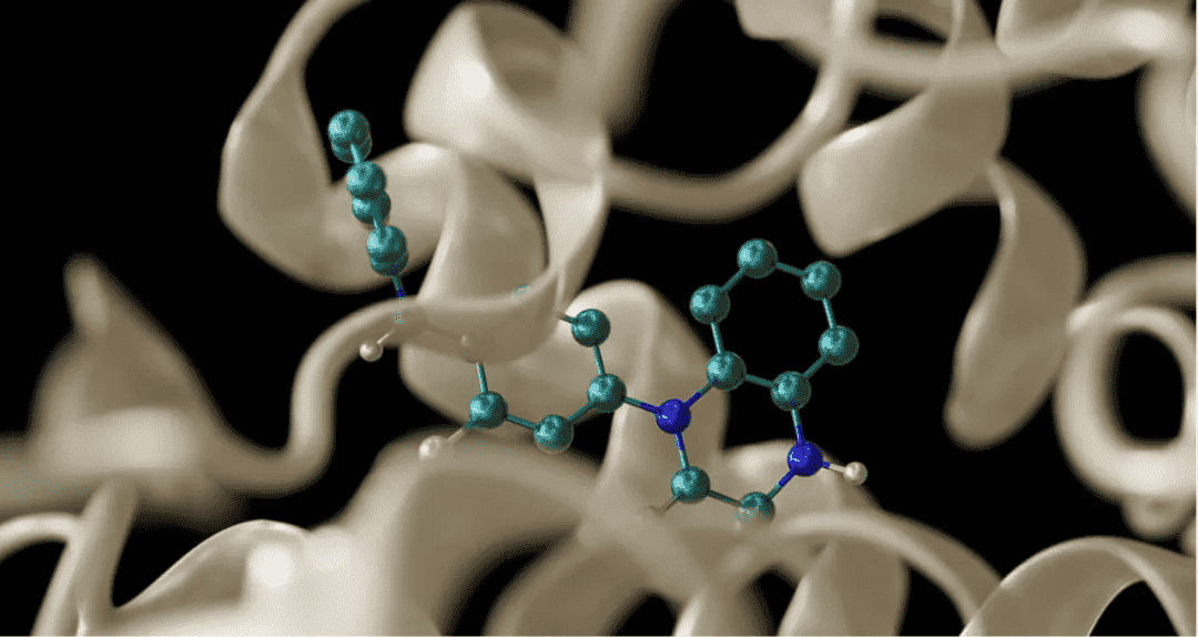 GTC24 | NVIDIA BioNeMo全新基础模型拓展对计算机辅助药物研发的支持