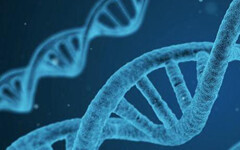 【首发】蓝晶微生物完成数千万元A+轮融资，合成生物产业进入快速成长期