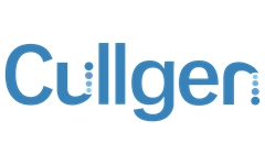 诱导蛋白降解作为药物开发新策略，Cullgen完成1600万美元A轮融资