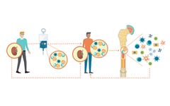 Talaris Therapeutics完成1亿美元A轮融资，研发诱导器官移植受者免疫耐受细胞疗法