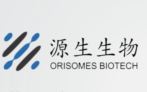 源生生物：挑战60年的“衰老细胞”定义， “逆龄”机制新药即将迎来人体数据