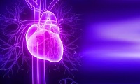 IBM公布首个认知影像Watson产品，帮助心血管医生识别漏诊的病人