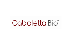 生物技术公司Cabaletta Bio获5000万美元B轮融资，将加速开发免疫性疾病T细胞疗法