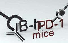 百奥赛图完成4.1亿元C轮融资，打造以基因编辑模式动物为基础、综合性的生物医药研发CRO公司 