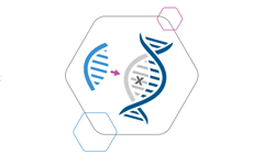 Precision BioSciences完成1.454亿美元IPO融资，利用天然酶研发肿瘤、遗传病精准基因编辑技术