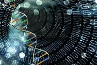 这家国内的基因知识库公司，如何能将产品卖到海外顶级医院？