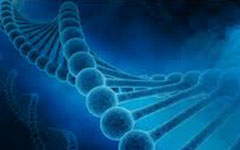 【首发】生物防伪公司Applied DNA宣布完成275万美元股票的公开发行