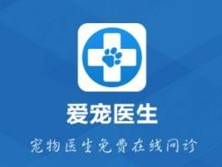 不满足于线上轻问诊，爱宠医生正成为占据市场90%的单体宠物医院的一体化服务商