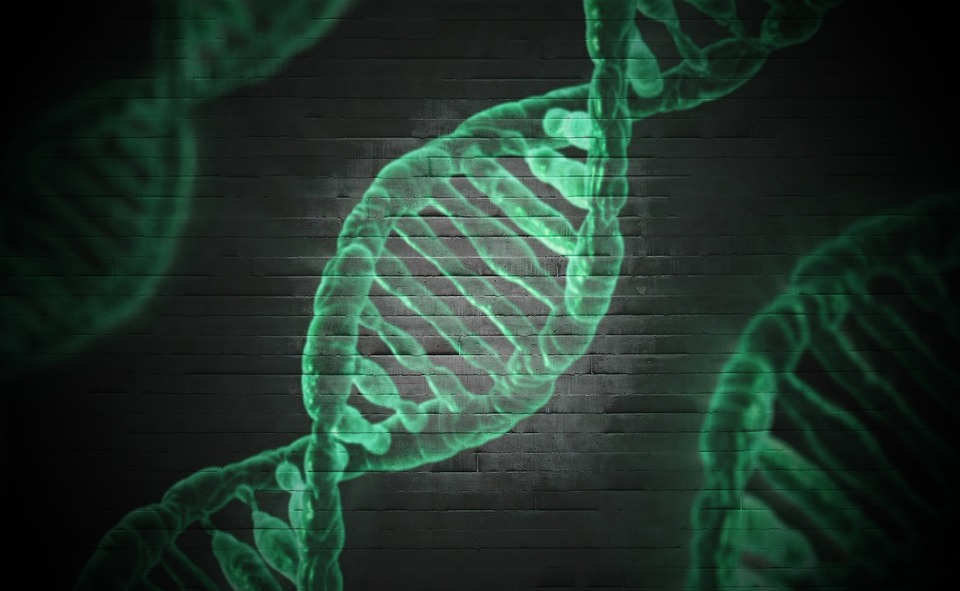 372项基因治疗临床试验正在进行中，25个基因治疗药物即将到来