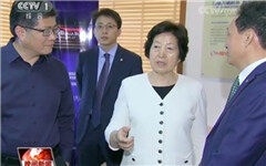 国务院副总理孙春兰调研乌镇互联网医院，鼓励发展互联网+医疗健康