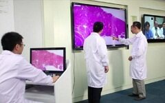 从病理图像切入，迪英加科技完成1500万元天使轮融资