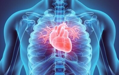 生物医药创企Orchestra BioMed融资4100万美元，开发心血管候选产品