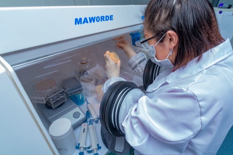 【首发】量化健康完成A轮3000万元融资，致力于微生物组的技术研发及应用转化