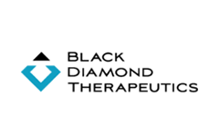 Black Diamond Therapeutics公司完成8500万美元B轮融资，用以开发肿瘤精准疗法