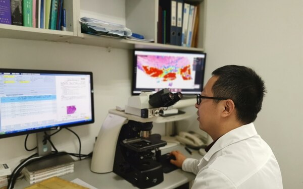 落地有声，透彻影像首个AI胃部病理辅助诊断系统落地解放军总医院