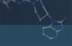 冰洲石团队摘得药物靶点选择性预测赛冠军，AI加快药物研发速率