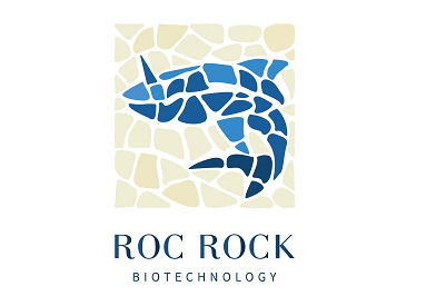 【首发】鲲石生物完成数千万元天使轮融资，黎曼猜想孵化并担任本轮融资独家财务顾问