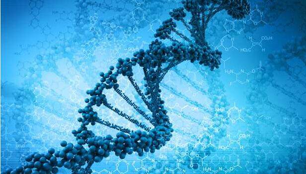 5个月融资超过13亿美金 ，这是一份中美液体活检5年的融资数据解读｜中美企业盘点（2.0）