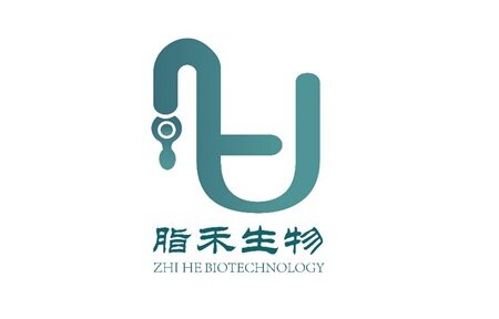 拒打价格战！脂禾生物掘金全年龄段DHA新蓝海