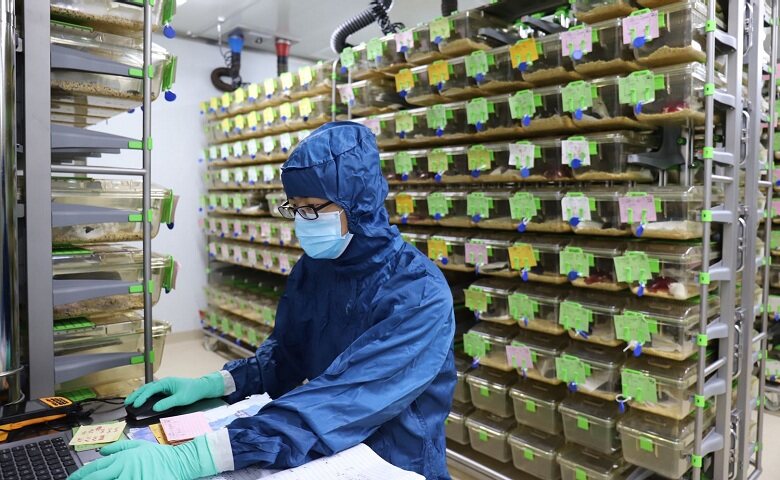 CSCO2019 | 中国创新药企角力迈入下半场，全球化布局或将成为制胜关键